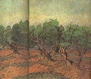 Vincent Van Gogh Olive Grove (nn04) France oil painting artist
